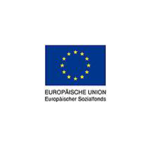 EU Logo